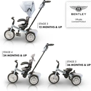 Bentley trike review on sale